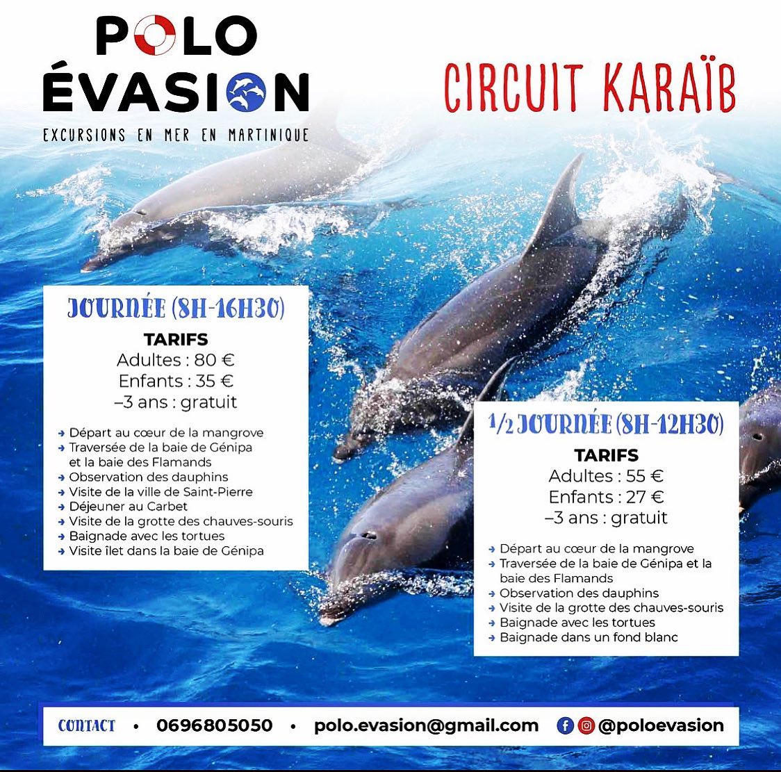 #sortie bateau #dauphins #tortue #rocher du diamant. Ambiance assurée